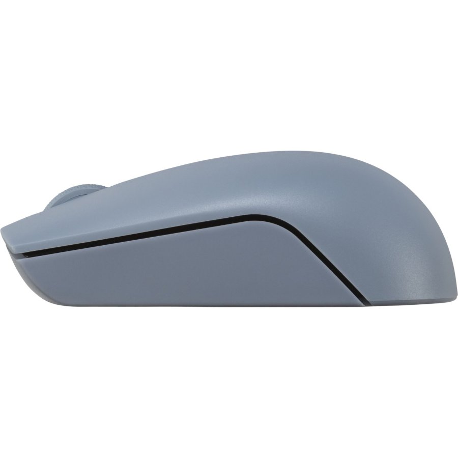 300 Optical Wireless Mouse #2