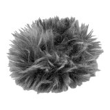 OM System WJ-2 Windshield #1