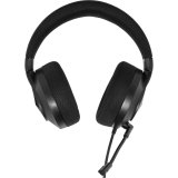 Lenovo H210 schwarz #2