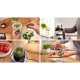 Bosch Serie 4 MMB6177S blender 1,5 L Bordplade blender 1200 W Sort, Slv #20