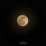 Vaonis Hestia Standard Pack #7