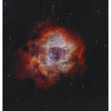 Vaonis Vespera II Essential #9