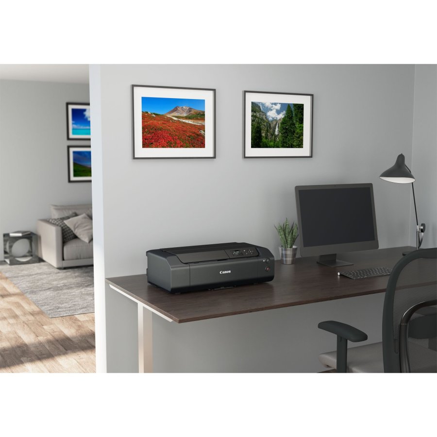 Canon PIXMA PRO-200 S #14