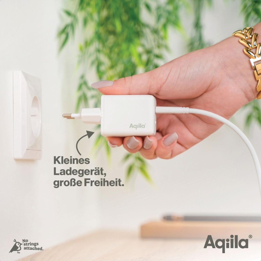 Aqiila Chargebird W2 45W 2x USB-C #10