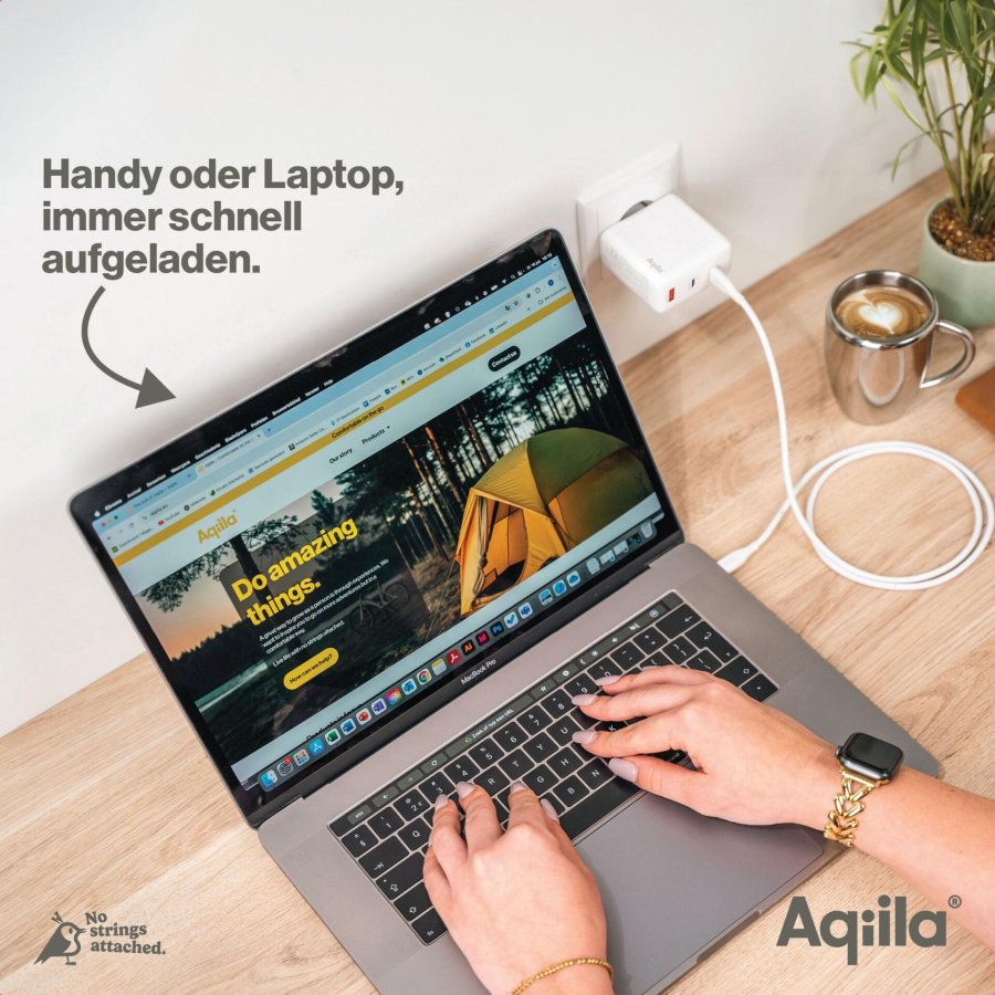 Aqiila Chargebird W4 120W 2x USB-C 1x USB-A #9