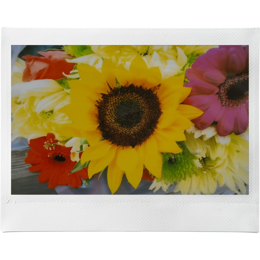 Fujifilm Instax Wide Evo #12