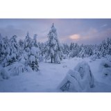 Samyang AF 2,0/12       Canon RF #18