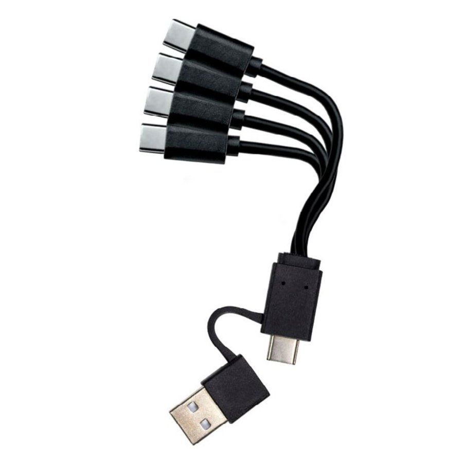 1x4 Coast Zithion-X Mignon AA Akku, USB-C Ladeanschl #3