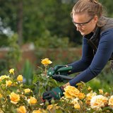 Bosch EASYPRUNE AKKU-GARTEN- Schere CLASSIC #11