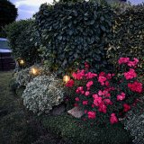 1x2 REV Solar Stangen mit Kugeln 6h Leuchtdauer, IP44  2920010050 #6