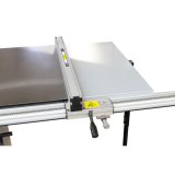 Holzmann TS315VF2000_400V Formatkreissäge #4