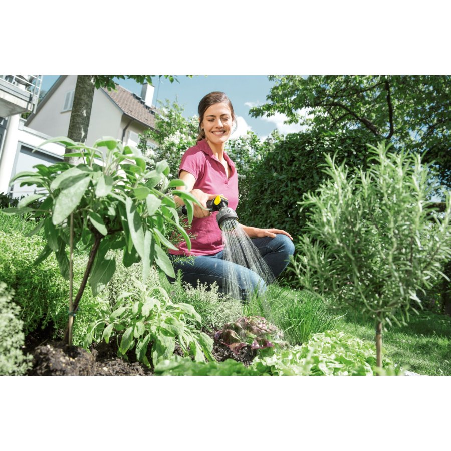 Trykspr�jte til haven K�rcher 2.645-271.0 #14