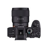 Samyang AF 2,8/16 P FE    Sony E #6