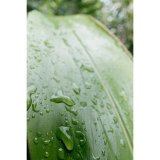 Samyang AF 2,8/16 P FE    Sony E #9