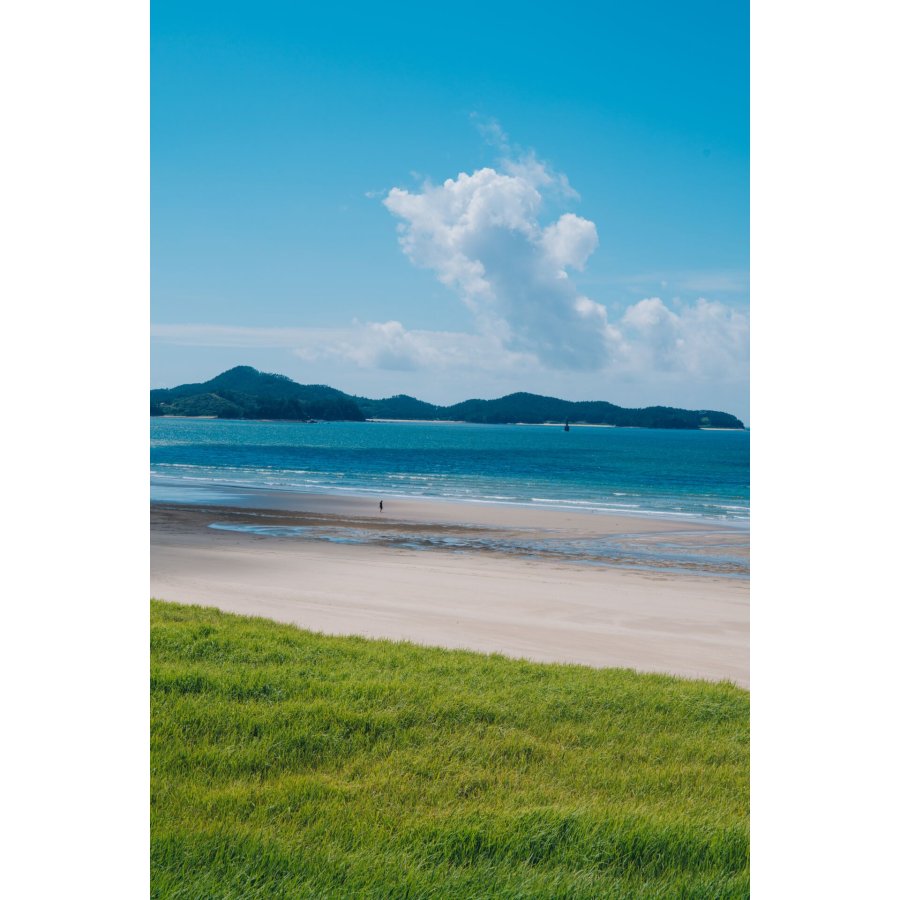 Samyang AF 2,8/24-60 FE   Sony E Schneider Kreuznach #15