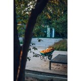 Samyang AF 2,8/24-60 FE   Sony E Schneider Kreuznach #16