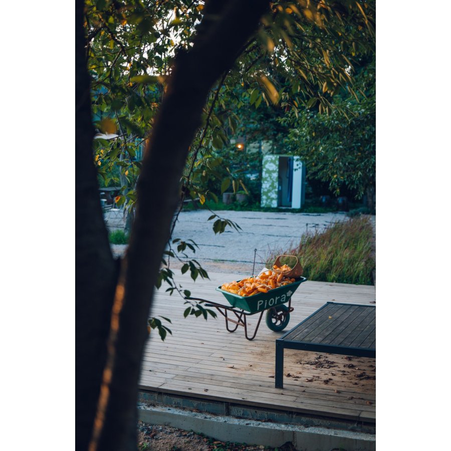 Samyang AF 2,8/24-60 FE   Sony E Schneider Kreuznach #16