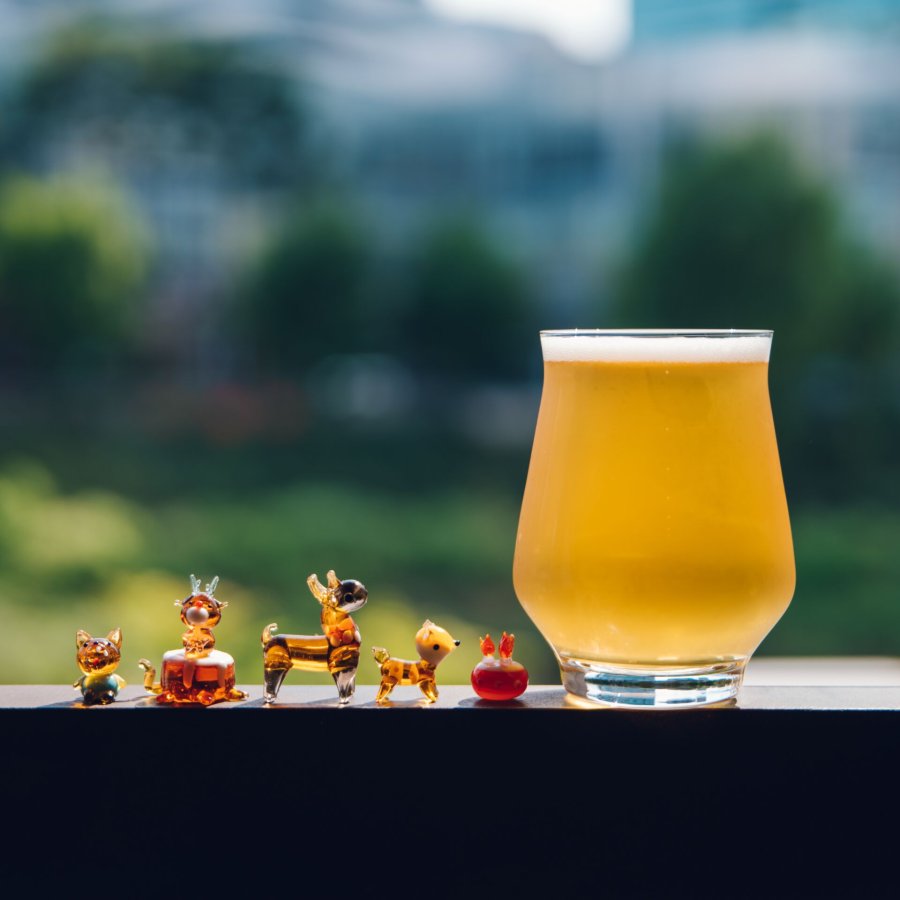 Samyang AF 2,8/24-60 FE   Sony E Schneider Kreuznach #18