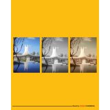 Kodak Charmera farblich sortiert #5