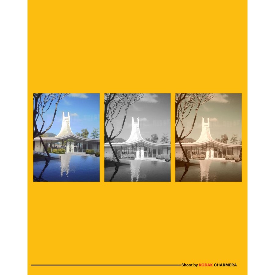 Kodak Charmera farblich sortiert #5