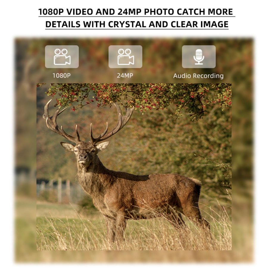 Stealth Gear Hedgehog 1080p 4G Wildkamera #5