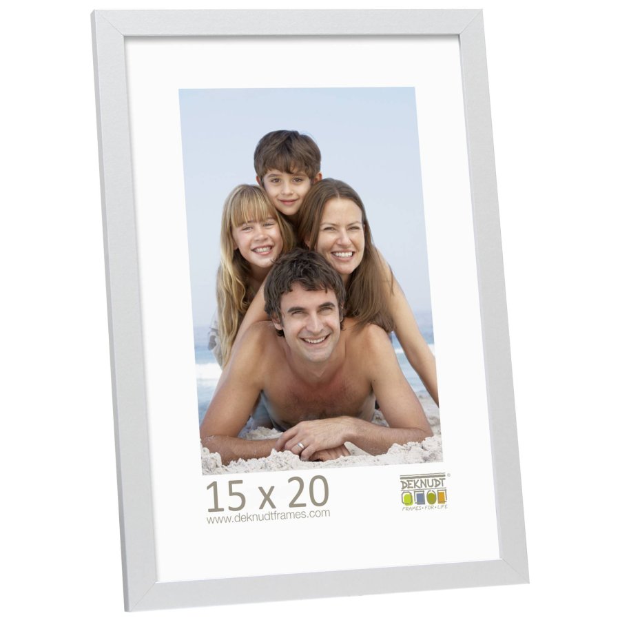 Deknudt S44CD1             15x20 Wood silver #1