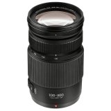 Panasonic Lumix 4,0-5,6/100-300 Power OIS #1