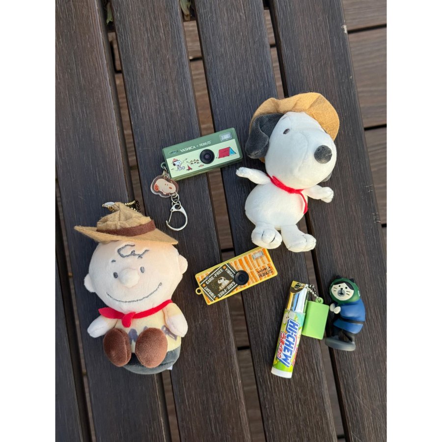 Yashica Funtastic x Peanuts Sweet Dreams Home #11