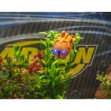 Carson RC XS Deep Sea Dragon 100% RTR orange #22