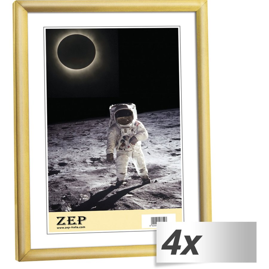 4x1 ZEP New Easy gold    21x29,7 DIN A4 Resin Frame KG11 #1