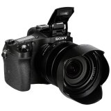 Sony DSC-RX10 Mark IV #3
