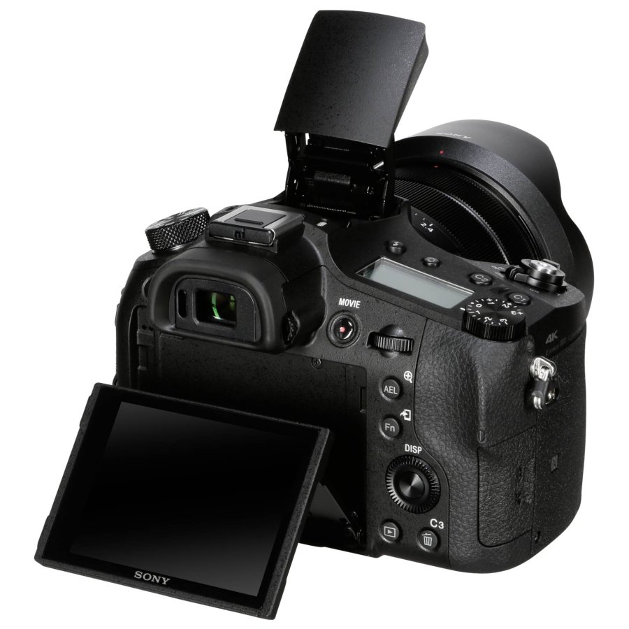 Sony DSC-RX10 Mark IV #5