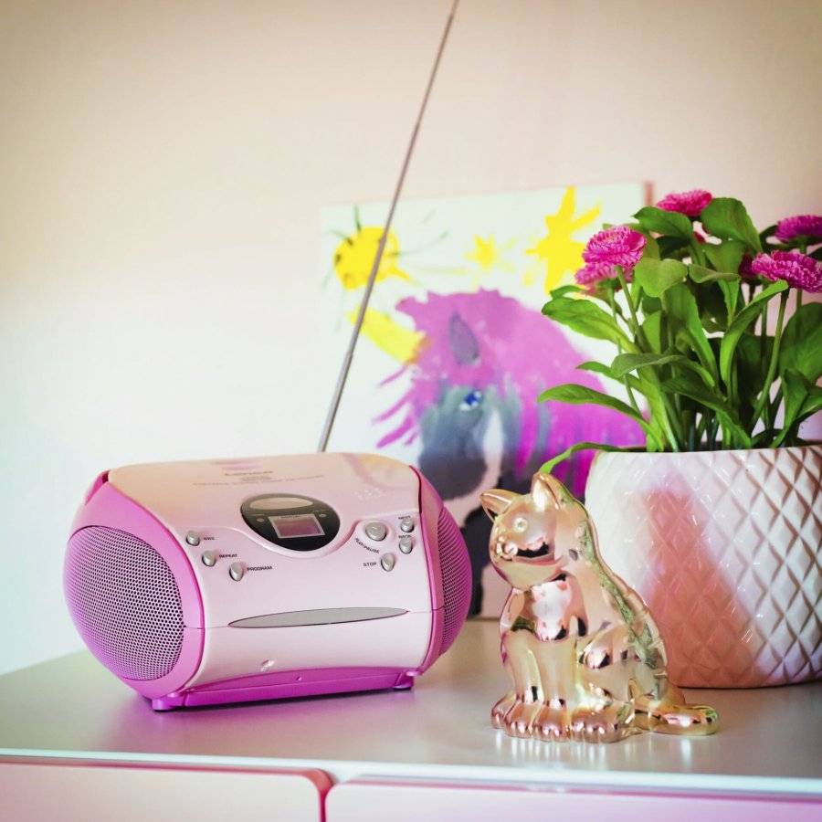 Lenco SCD-24 pink #10