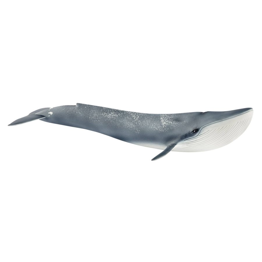 Schleich Wild Life         14806 Blue Whale #1