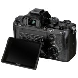 Sony Alpha 7 Mark III Body #6