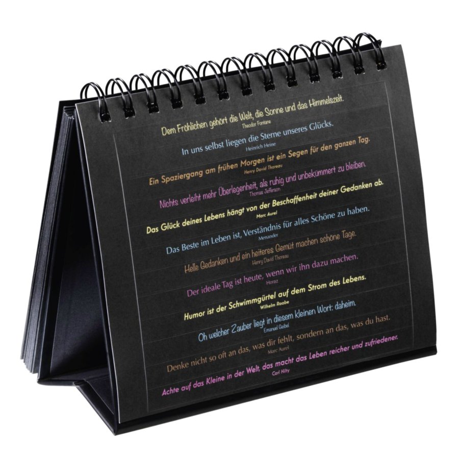 Hama Spiral Book Stand     11x15 for 12 Photos, black 2470 #3