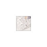 ZEP Blumen                 13x18 Resin Portrait white EE9457 #2