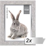 2x1 ZEP Doneck B           13x18 Plastic Frame              AZ157 #1
