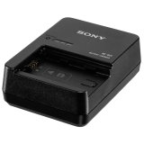 Sony BCQZ1 Quick Charger for NPFZ100 #1