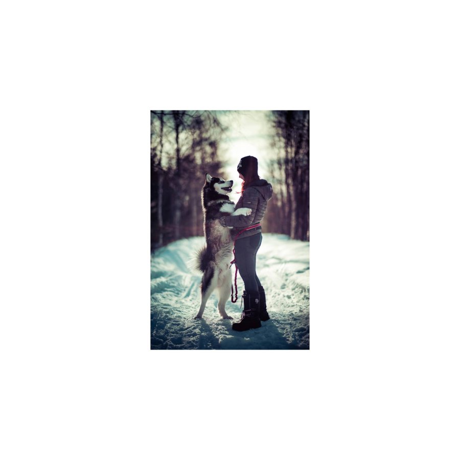 Samyang AF 1,4/85        Nikon F #9