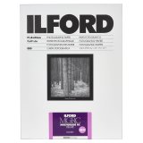 1x100 Ilford MG RC DL  1M  18x24 #1