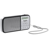 Technisat TechniRadio RDR silver #1