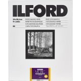 1x 50 Ilford MG RC DL 25M  24x30 #1