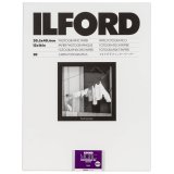 1x 50 Ilford MG RC DL 44M  30x40 #1