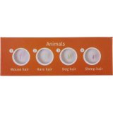 Levenhuk LabZZ C12 prepared Slides #3