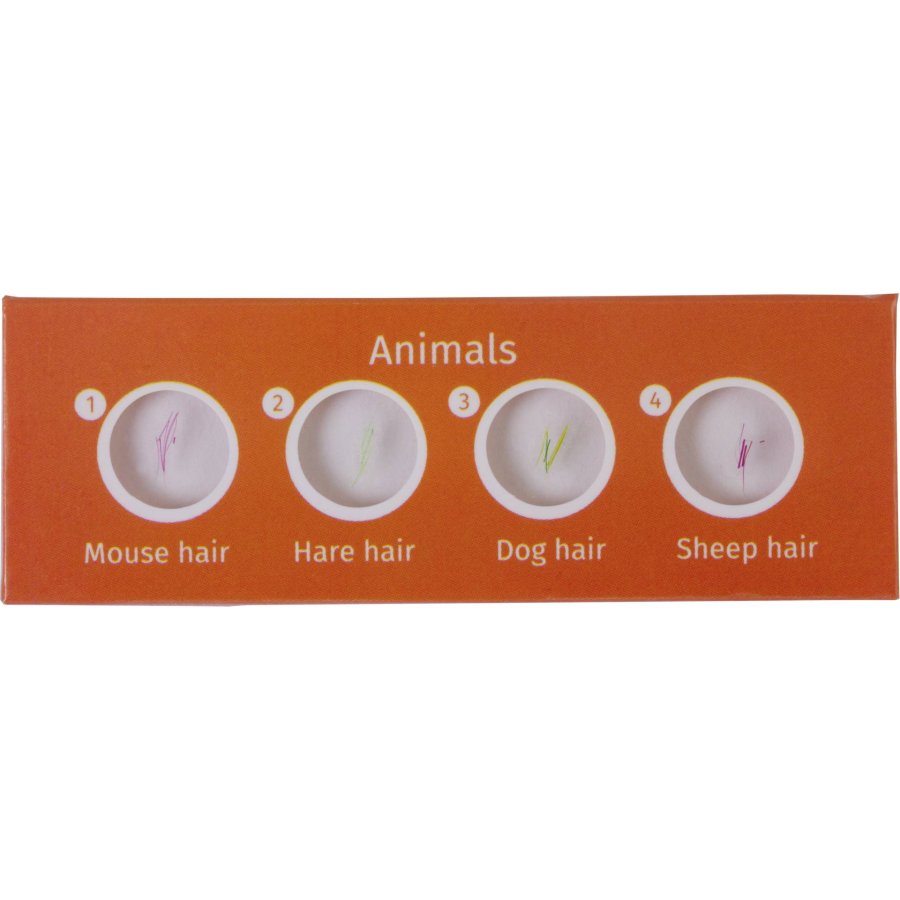 Levenhuk LabZZ C12 prepared Slides #3