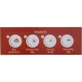 Levenhuk LabZZ C12 prepared Slides #4