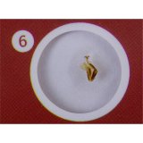 Levenhuk LabZZ C12 prepared Slides #6