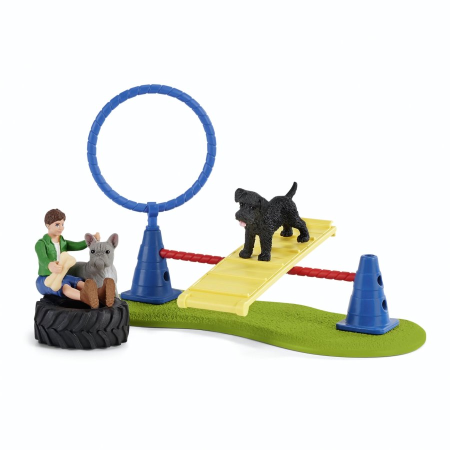 Schleich Farm World        42536 Puppy Agility Training #4