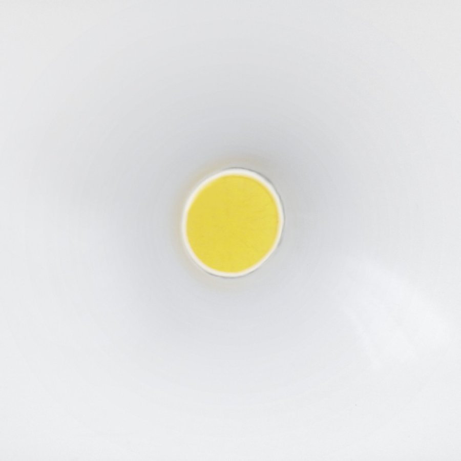 Steinel LS 150 LED WS LED spotlight #4